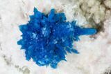 Vibrant Blue Cavansite Crystals on Stilbite & Mordenite - India #168248-2